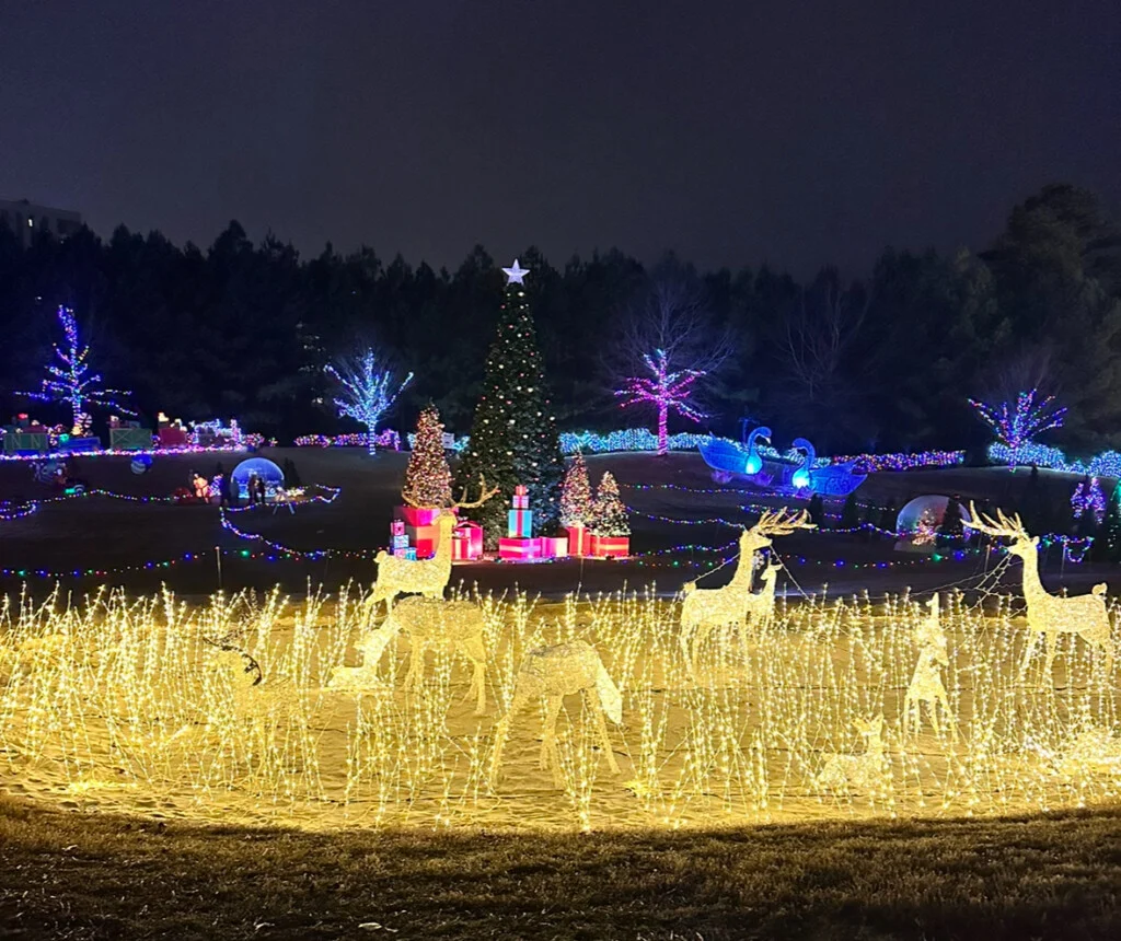Holiday lights in Ardrey neighborhood Charlotte NC Christmas light tour